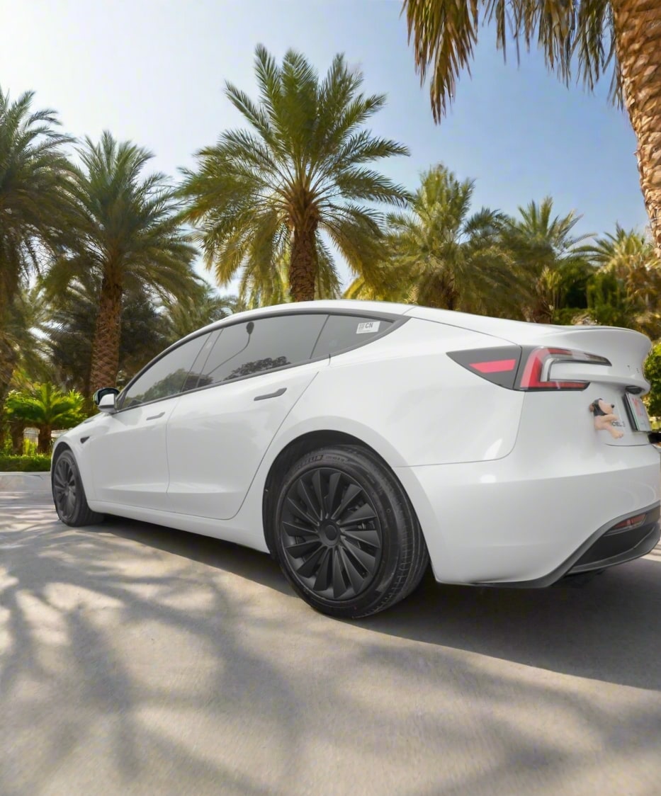 Cleviscoautomotive Tesla Accessories Wheel Caps 3 24/25