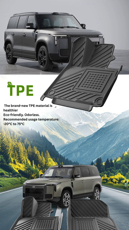 ROX01  Floor Mat Set