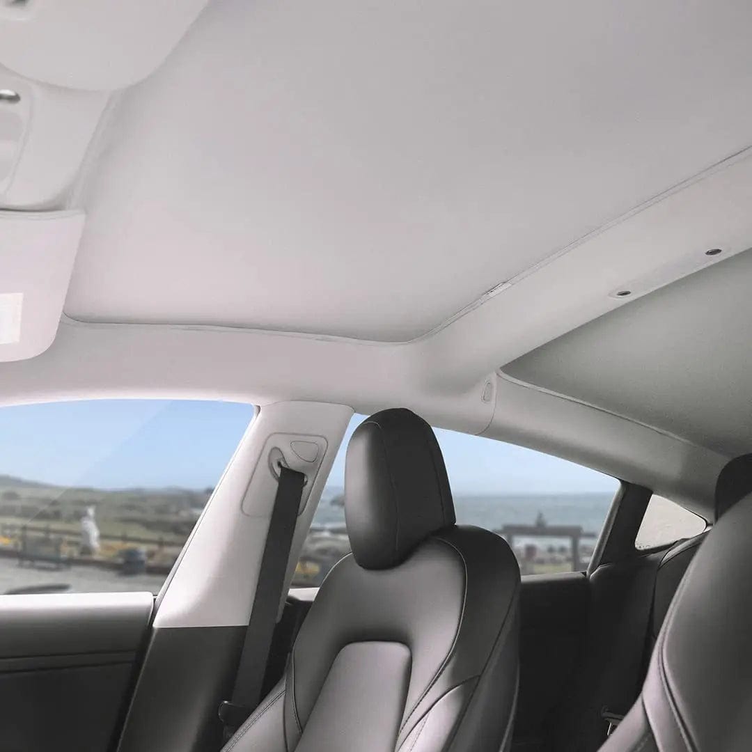 Cleviscoautomotive Tesla Accessories Model 3 Shades