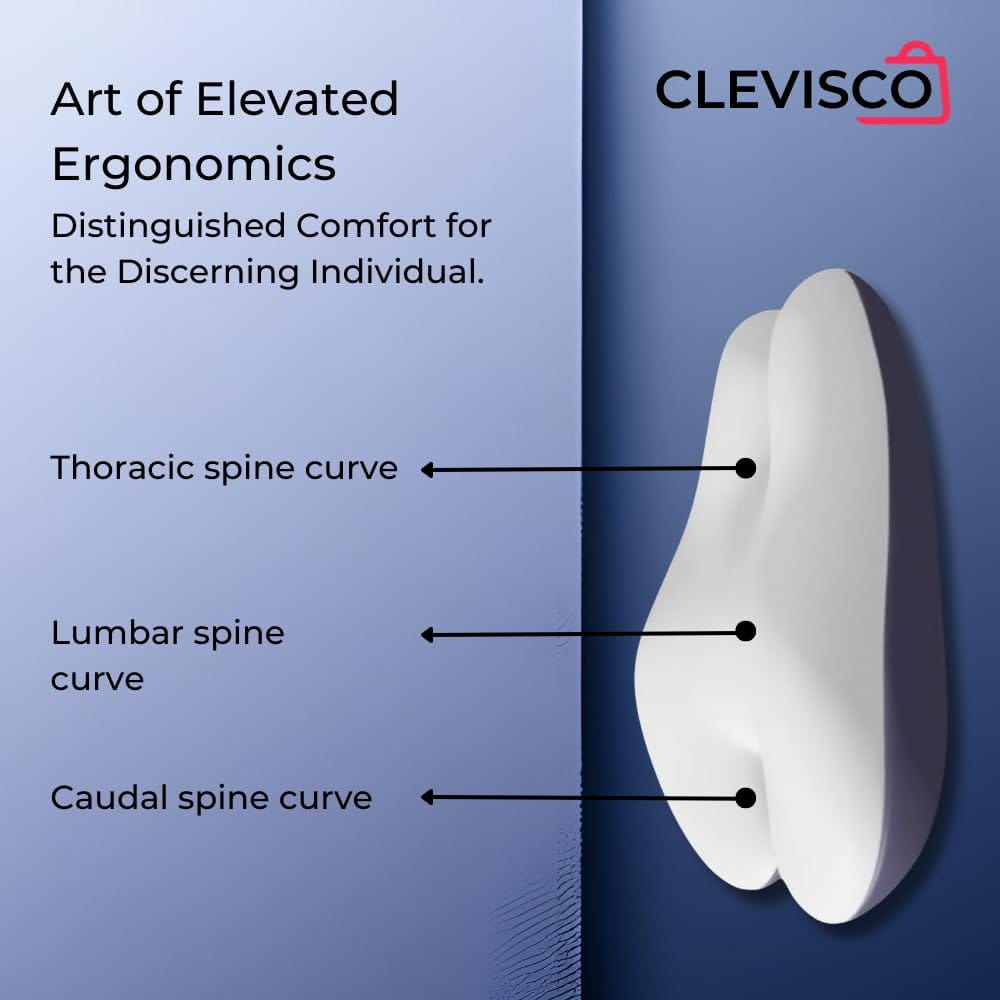 Cleviscoworkspace Electronics Lumbar Support