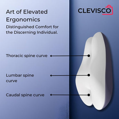 Cleviscoworkspace Electronics Lumbar Support